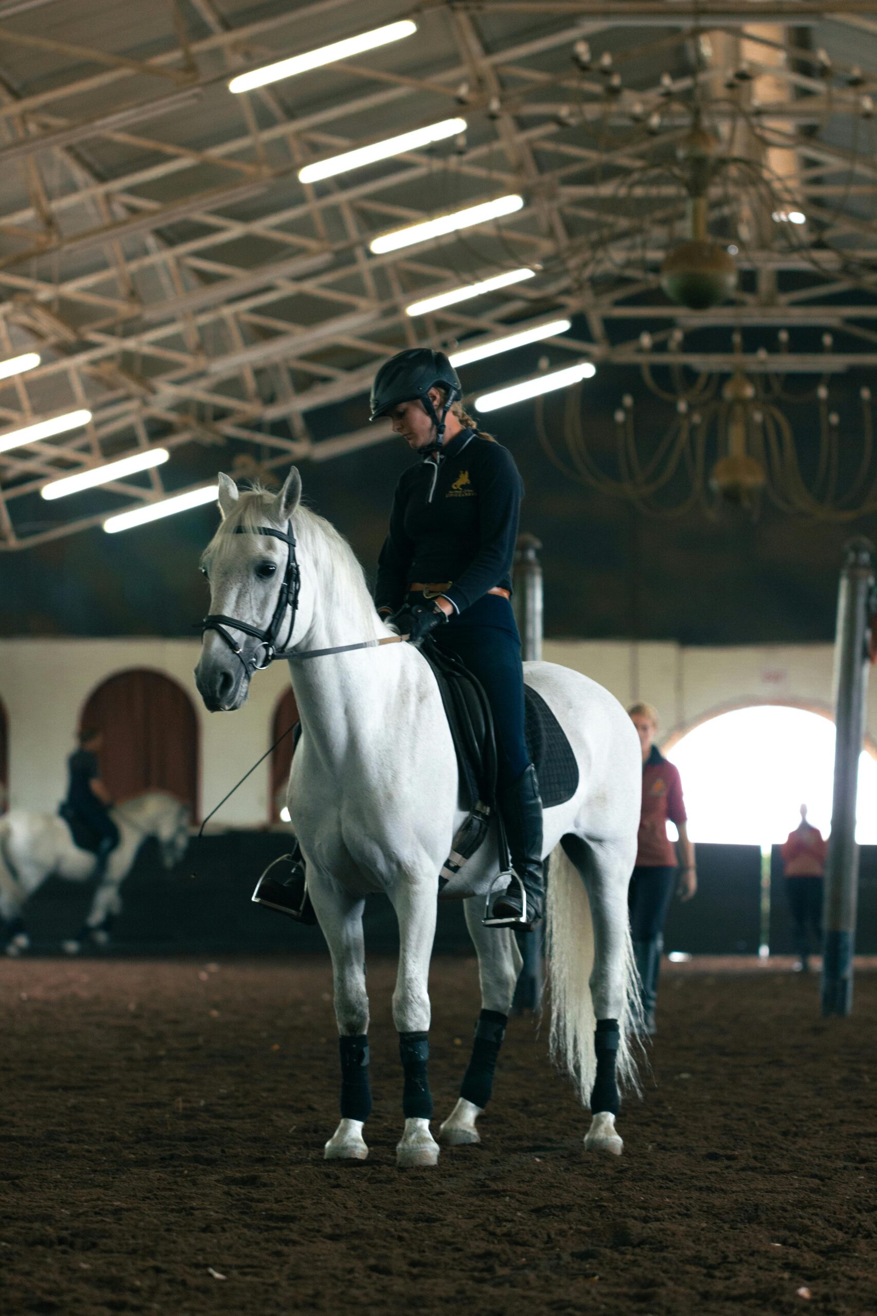 Full portrait of lady riding a white horse